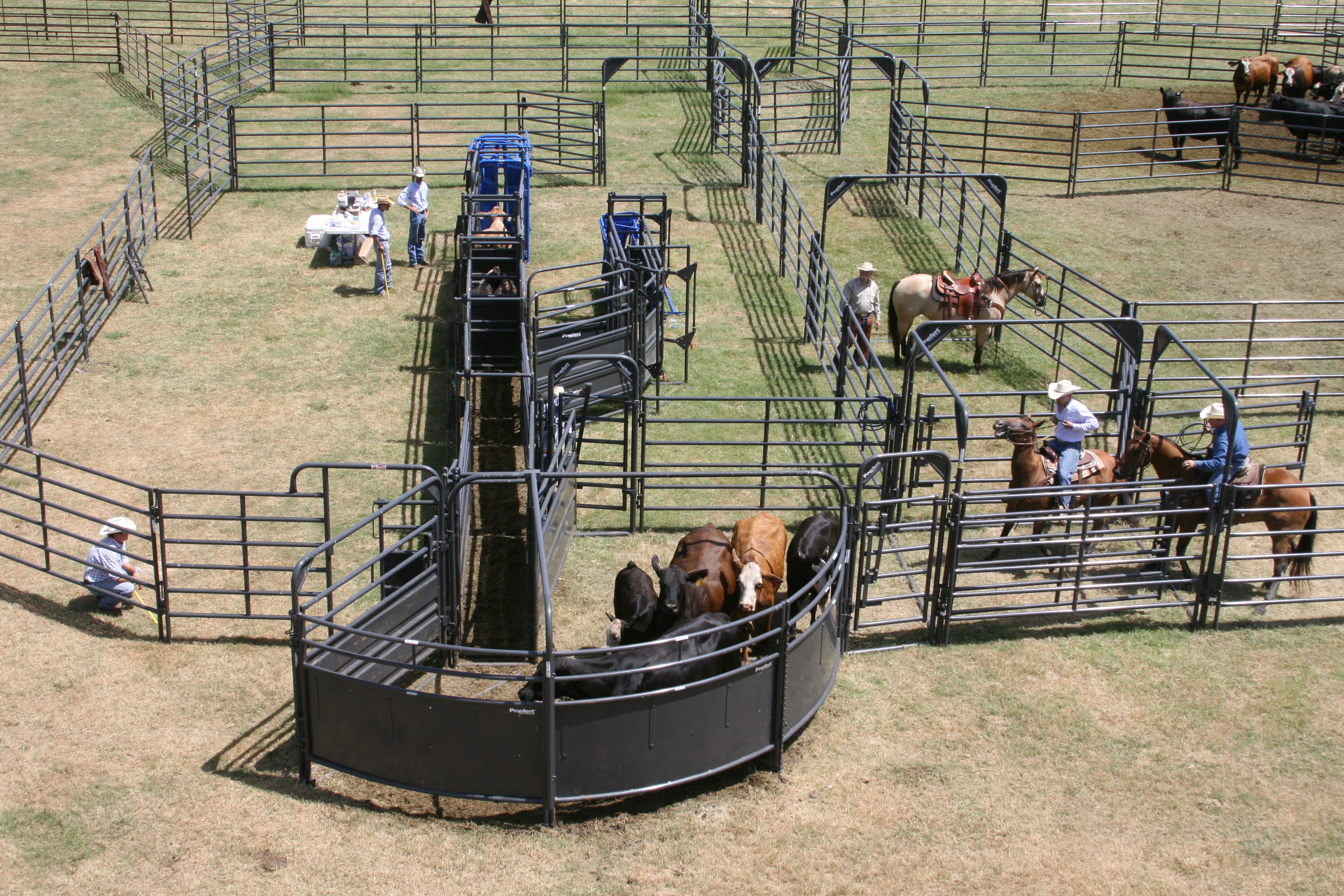 Solid Sweep SSOS 12 03.JPG